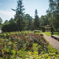 Roosisaar | Liina Laurikainen