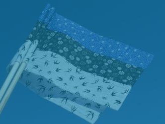 Kas sina teadsid, et…?